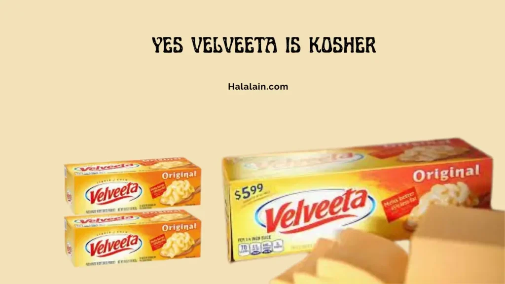 Is velveeta kosher