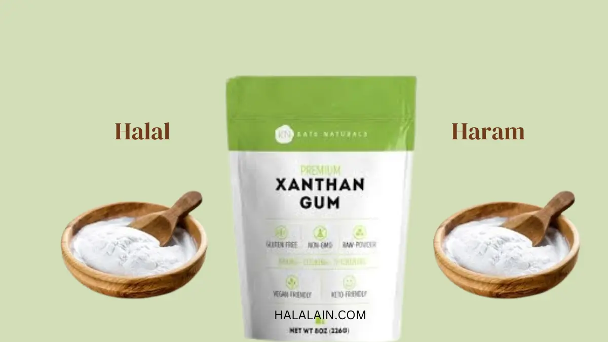 Is xanthan gum Halal