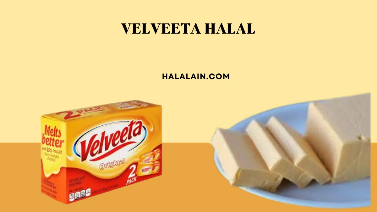 Velveeta Halal