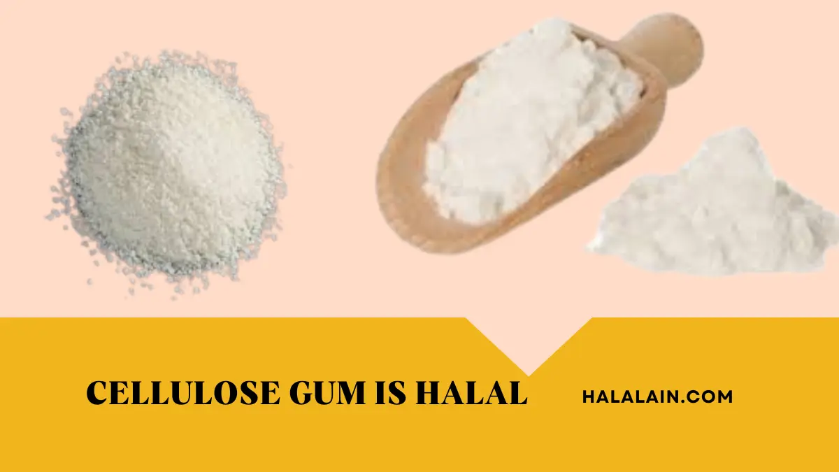 cellulose gum is halal