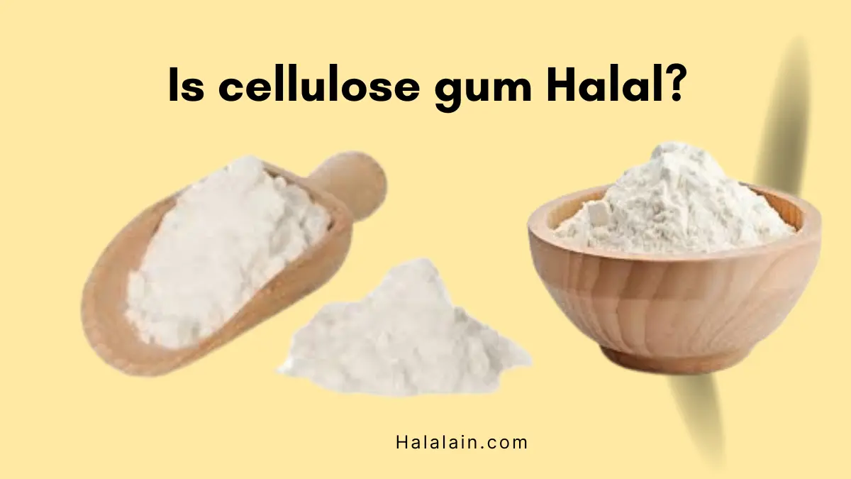 cellulose gum is halal