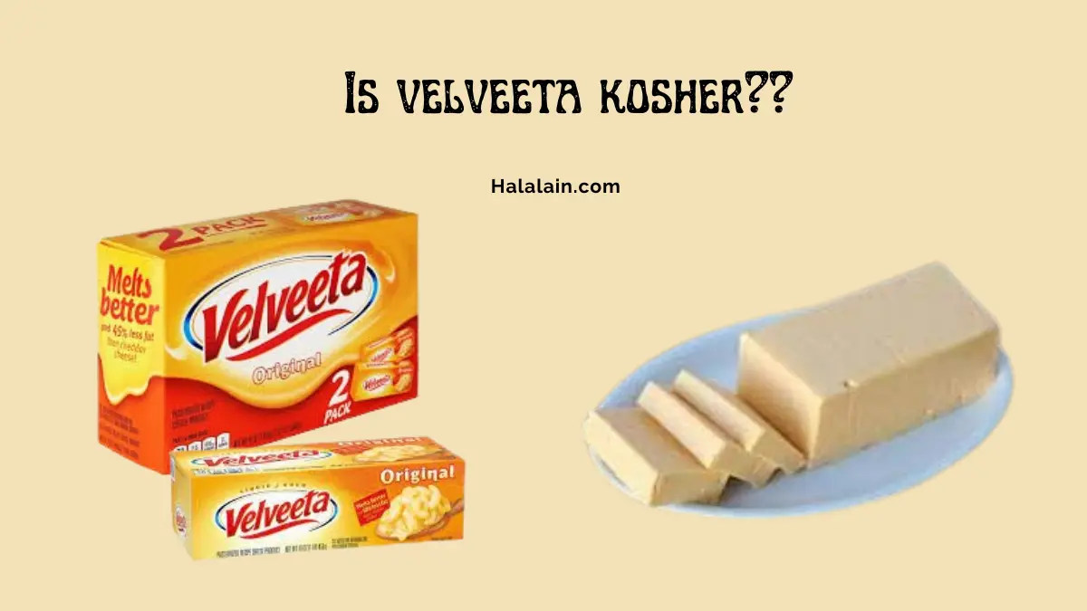 Is velveeta kosher