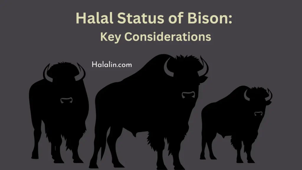 Is Bison Halal image