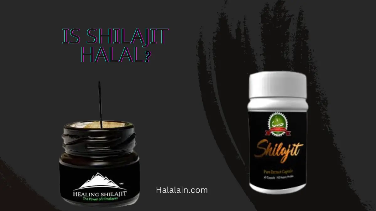 Is Shilajit Halal