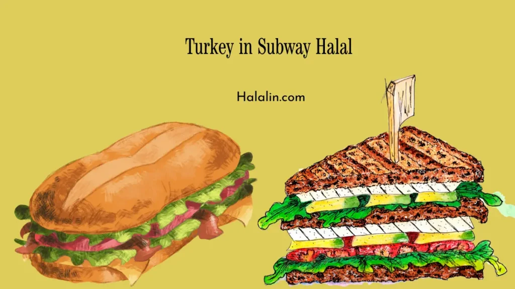 Turkey in Subway Halal