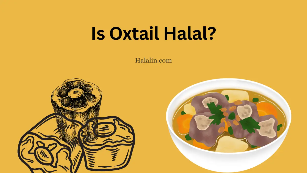 Is Oxtail Halal