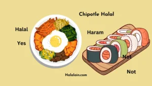 Chipotle Halal