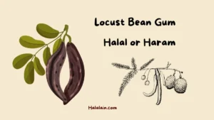 Locust bean gum halal