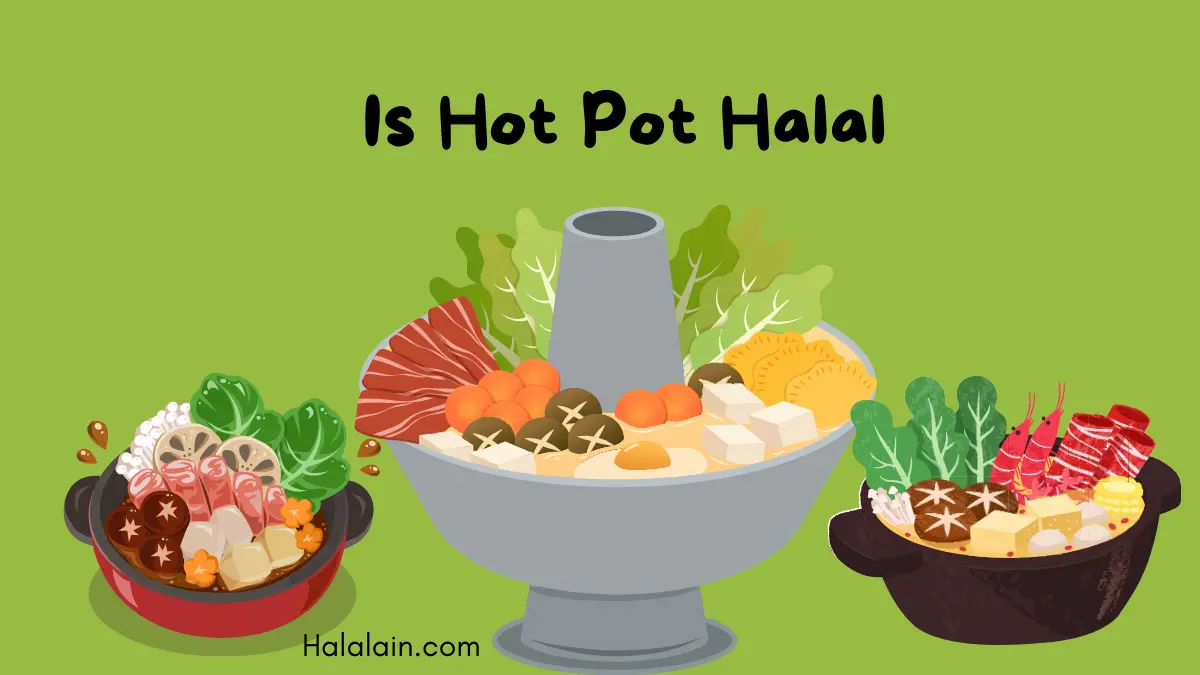 Hot Pot Halal